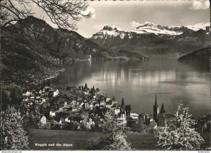 Weggis Vierwaldstaettersee Weggis