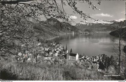 Weggis Vierwaldstaettersee Weggis