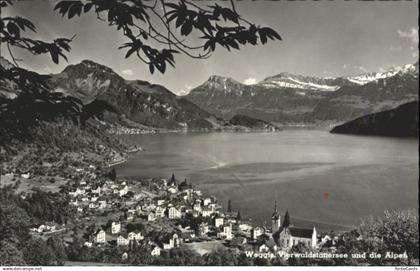 Weggis Vierwaldstaettersee Weggis