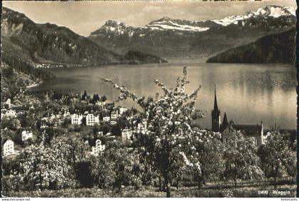 Weggis Vierwaldstaettersee Weggis
