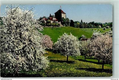 6284 Gelfingen 1916 - Schloss Heidegg - 10394597