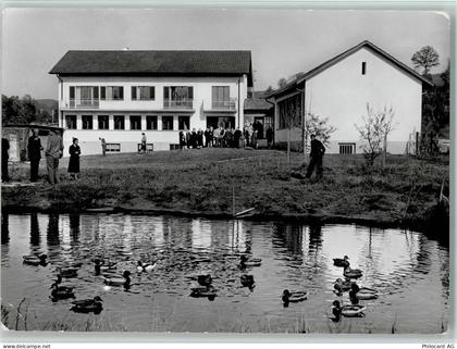 6204 Sempach - Vogelwarte Enten Besucher Werbung Durisol Maurewerk - 11051919