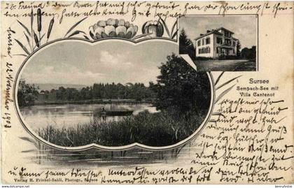 Sursee - Villa Cantenot