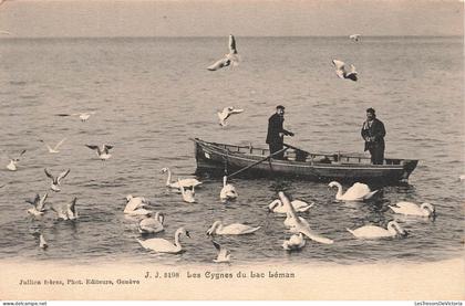 [-10%] SUISSE - Lac Léman - Les cygnes du lac Léman - Carte postale ancienne