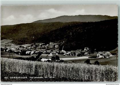 10306064 - Dombresson