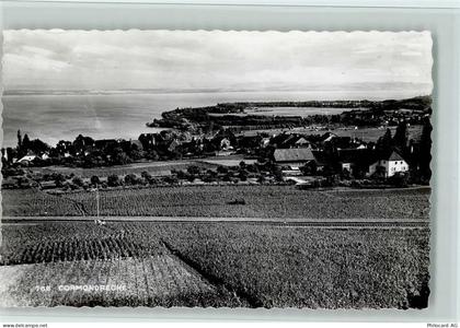 2036 Cormondrèche - Reben - 11084635