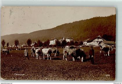 2053 Cernier - Kühe - 13172686