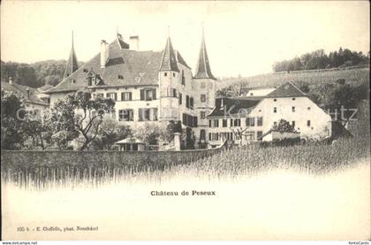 Peseux NE Chateau de Peseux