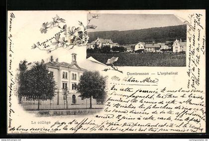 AK Dombresson, L`orphelinat, Le collège
