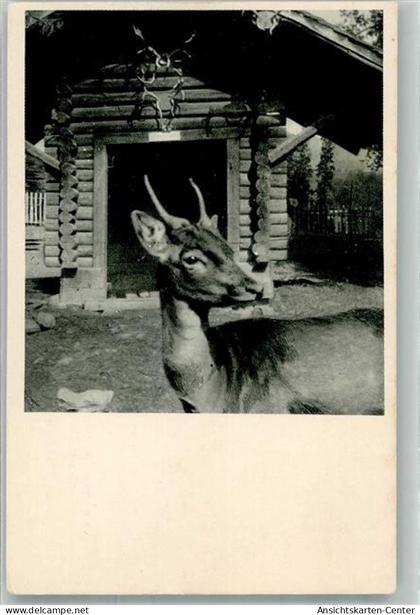 38100111 - Kaltbrunn