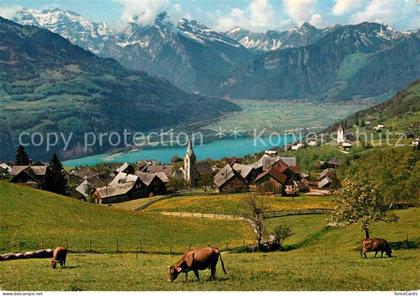 Amden Walensee SG Walensee Glaernisch