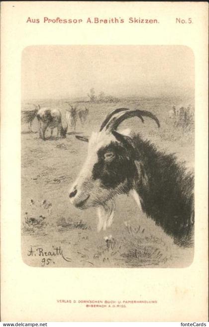 Gams SG Kuenstler A. Braith