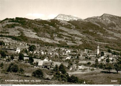 Kaltbrunn SG Blick zum Speer