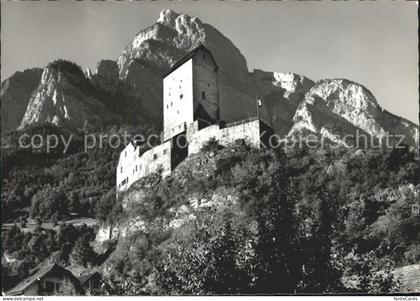 Sargans Schloss Sargans mit Gonzen