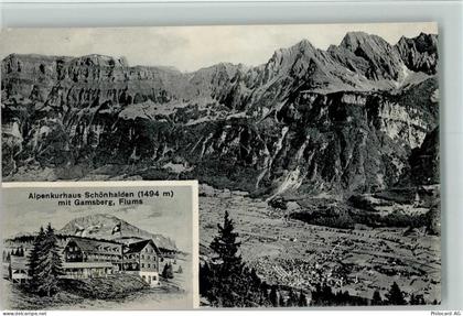 8890 Flums 1917 - Alpenkurhaus Schönhalden mit Gamsberg - 13095406