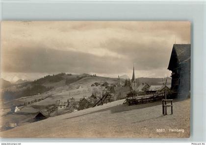 9633 Hemberg - 13100334