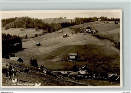 9633 Hemberg - 13117197