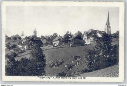 9633 Hemberg - 50894838