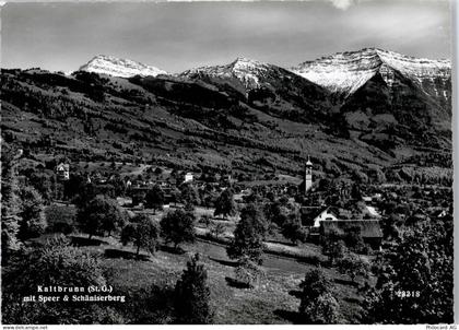 8722 Kaltbrunn - Gesamtansicht, Speer, Schläniserberg - 50746806