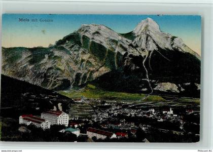 8887 Mels 1917 - Telansicht,gute Erhaltung AK - 13070225