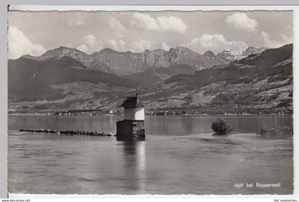 (14619) Foto AK Rapperswil-Jona, St. Gallen, Zürichsee, nach 1945