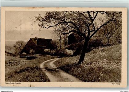 9425 Thal Gebrauchsspuren Frühlingsstudie - 13119826