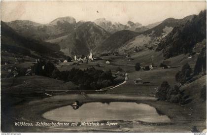 Wildhaus