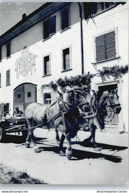 50566304 - Neunkirch