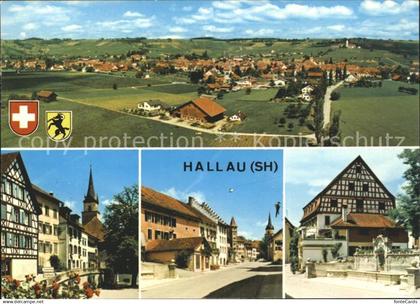 Hallau Panorama Dorfpartien
