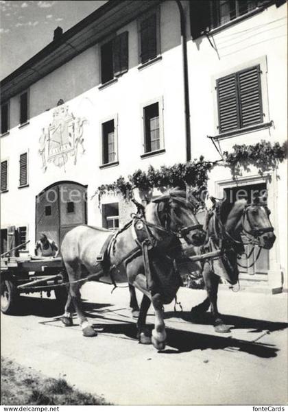Neunkirch Bauernhof Pferdefuhrwerk