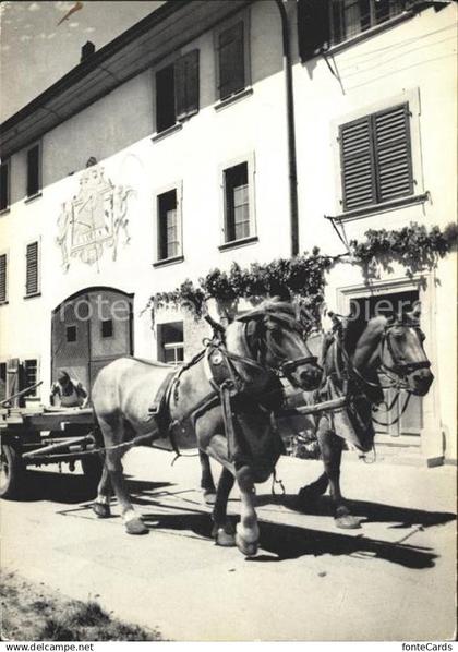 Neunkirch Bauernhof Pferdefuhrwerk