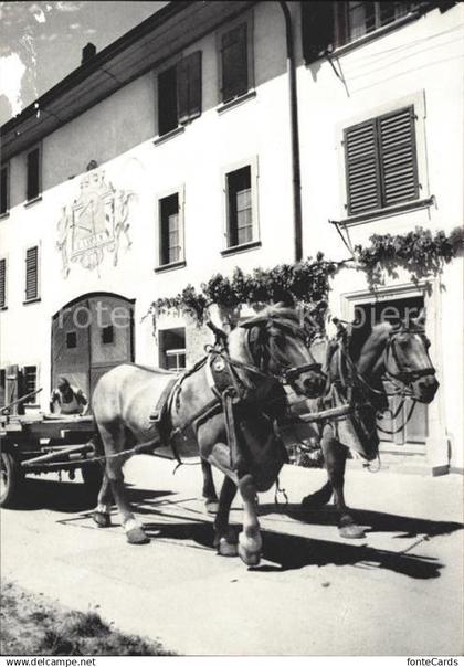 Neunkirch Bauernhof Pferdewagen