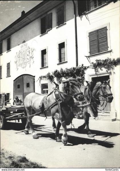 Neunkirch Bauernhof Pferdewagen