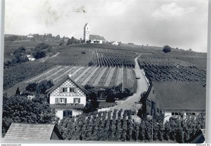 8215 Hallau - Bergkirche St. Moritz - 50863209