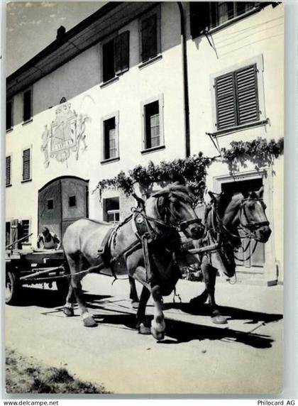 8213 Neunkirch - Tiergespann Pferdegeschirr Bauernhof Ferme - 10300307