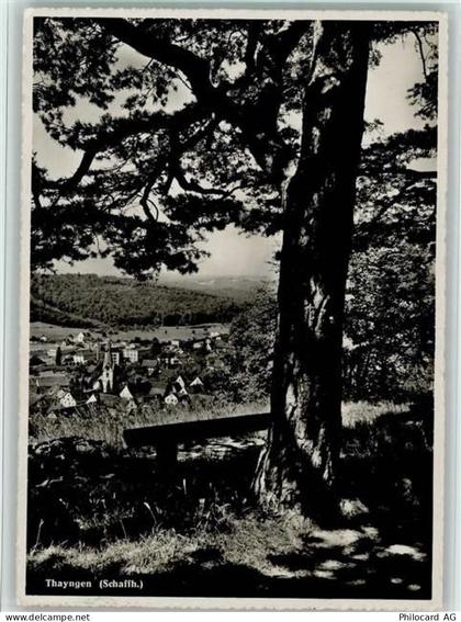 8240 Thayngen - Schaffhausen Baum - 11057561