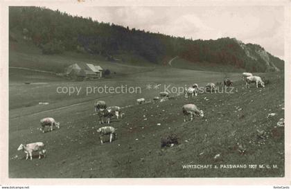 Passwang Balsthal SO Bergwiesen Almvieh Wirtschaft