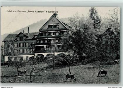 13218713 - Feusisberg