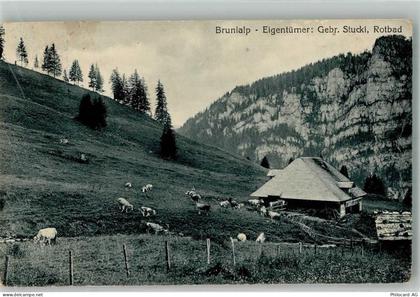 8849 Alpthal Foto AK Brunialp Pension Gasthaus - 10748714