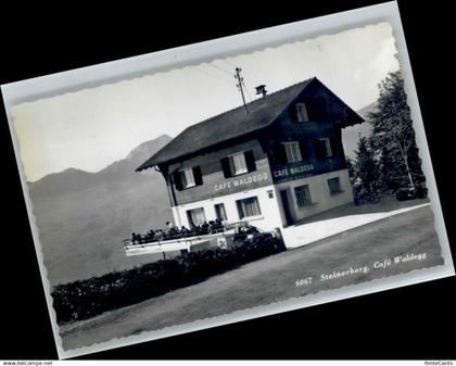 Steinerberg Cafe Waldegg