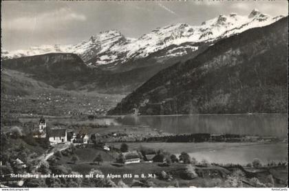 Steinerberg Lowerzersee Alpen