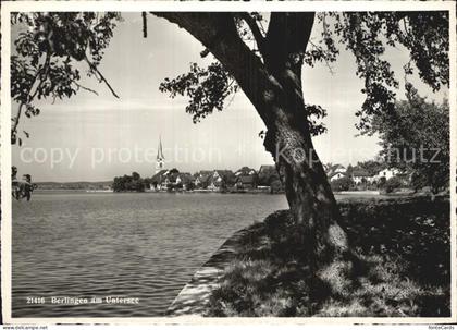 Berlingen Untersee Panorama