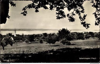CPA Scherzingen Münsterlingen Kanton Thurgau, Teilansicht