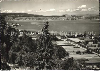 Mannenbach Untersee Berlingen