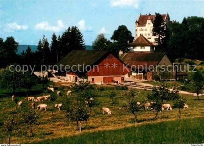 Stettfurt Schloss Sonnenberg