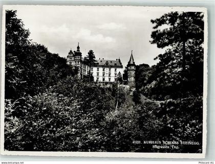 8536 Hüttwilen 1956 Foto AK Schloss Steinegg Kurhaus - 38068149