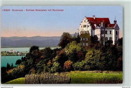 8268 Salenstein - Schloss - 10601476