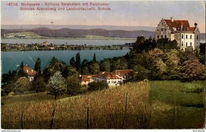 Schloss Salenstein mit Reichenau