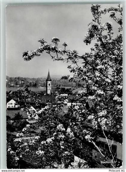 8266 Steckborn - 10159008