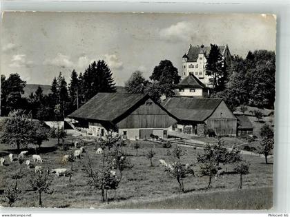 9507 Stettfurt Foto AK Schloss Sonnenberg - 38071859